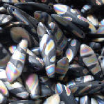 BMB28M Matt Glass Black Dagger Beads x 24 beads