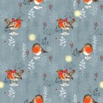 Winter Moon Robins