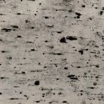 Timeless Treasures Winter CD1646