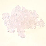 FLO02 Soft pink floral bead