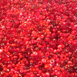 HOH01 Reds
