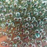 KID44 sea green lustred KID44 sea green lustred