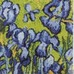 Irises Pako 216 . 780
