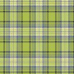 Primo Plaid Flannel R0911Light Green 1m Don't miss this fabric at this price ! 