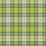 Primo Plaid Flannel R0911Light Green 1m