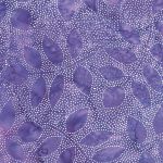 Purple and Lavender quilt fabrics