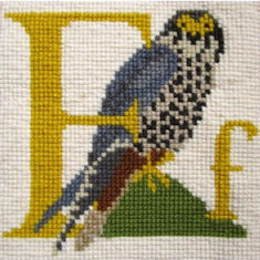 Elizabeth Bradley Animal Alphabet Tapestry Kit - F  Falcon