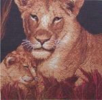 Proud Lioness and her cub C4154TT