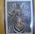 Zebre by Marie Coeur Special Offer