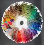 Appletons wools
