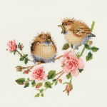 Rose Chick Chat  by Valerie Pfeiffer VPRO778